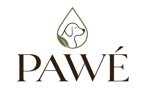 PAWÉ