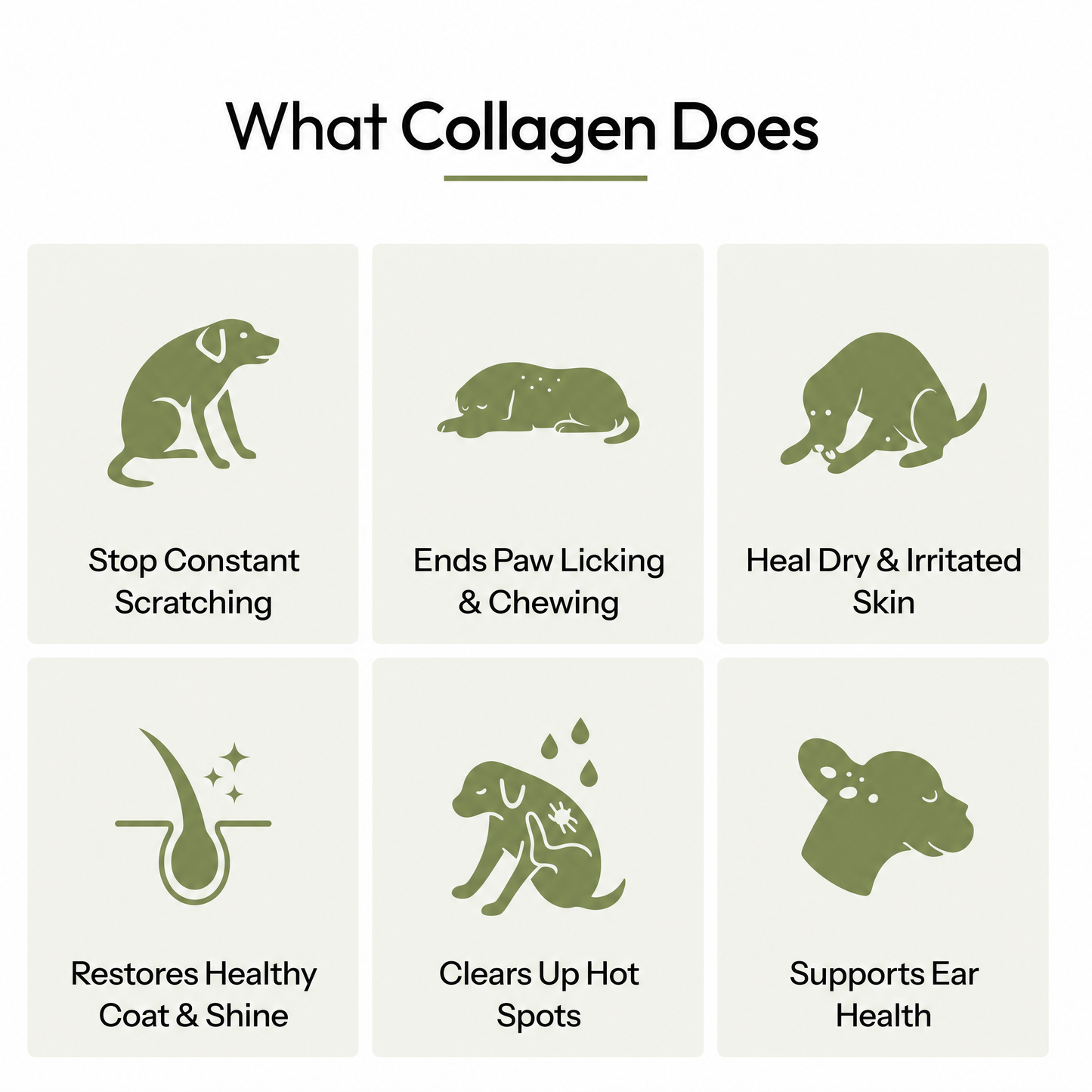 Pawé Petz Premium Liquid Collagen